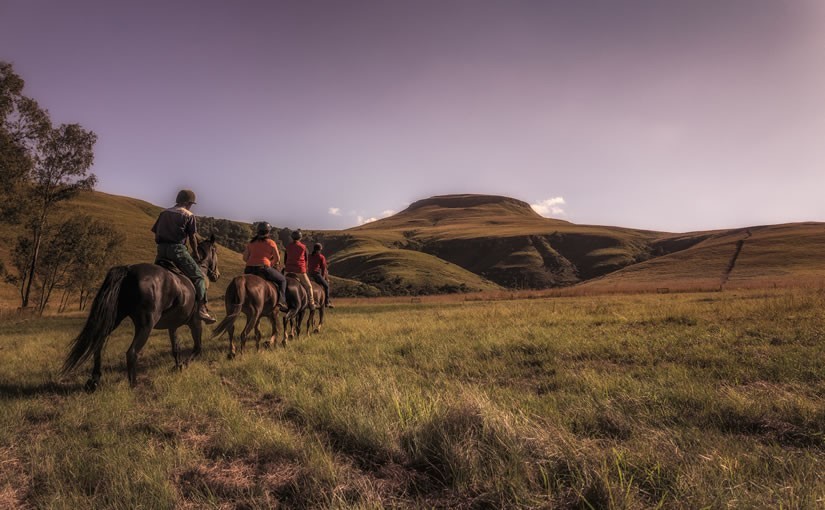 Northern Drakensberg Horse Trails